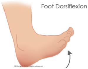 foot-dorsiflexion-6